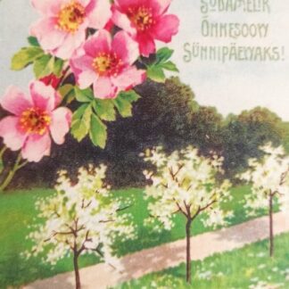 Postkaart "Südamelik õnnesoov sünnipäewaks!"