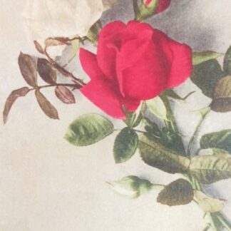 Postkaart "Õnnesoow sünnipäewaks!"