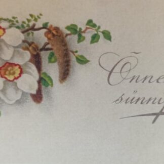 Väike postkaart "Õnne sünnipäevaks"