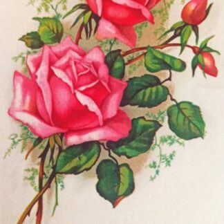 Postkaart "Südamlik õnnesoov sünnipäevaks!"