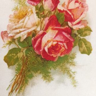 Postkaart "Südamelik õnnesoov sünnipäewaks."