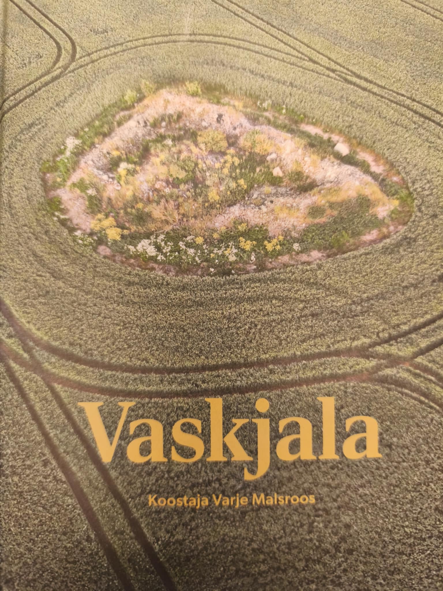 Vaskjala