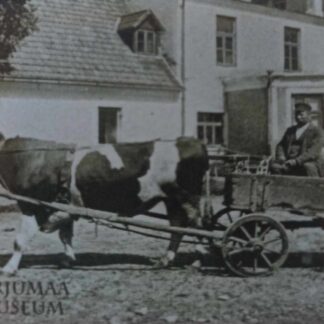 Magnet "Mees härjavankril mõisa ees"