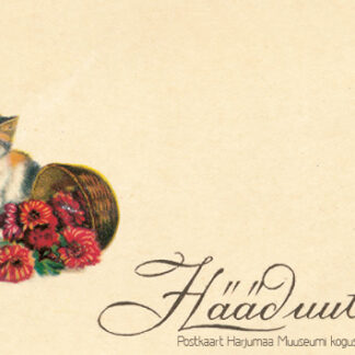 Postkaart “Hääd uut aastat!”